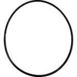O-ring