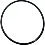 O-ring