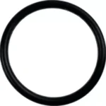 O-ring