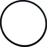 O-ring