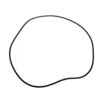 O-ring