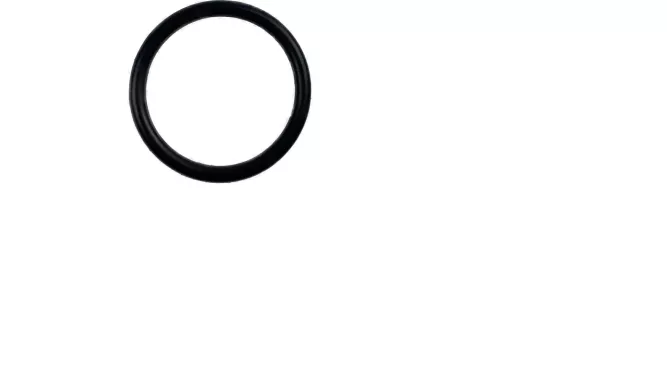 977201_preview_rev_1_090220246yPyr.webp O-ring - obrazek 1