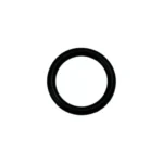 O-ring